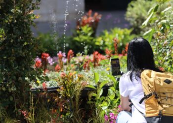 Valletta Green Festival 2025: A Celebration of Sustainability in the Capital